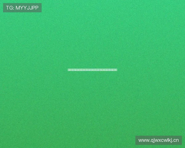 鱼泡网下载安装步骤详解及最新功能全面解析指南与使用技巧分享全攻略